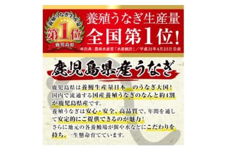 No.309 鹿児島県産うなぎの炭火白焼(1尾・生わさびとタレ付)と自慢の出汁巻き卵1本付！ 国産 九州産 鰻 ウナギ うな重 うな丼 白焼き 卵焼き 出汁巻き 出汁巻きたまご おかず 特産品 お土産 セット冷凍【家むら】