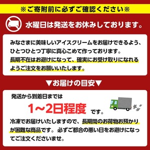 土日着 アイスクリーム セット 計8個 6種 アイス ジェラート 内ファーム ジェラート工房pace No.314-02