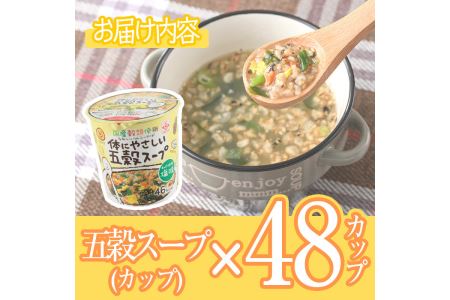 No.518 あっさり和風塩味♪カップ体にやさしい五穀スープ(13g×48個)国産 鹿児島 日置市 特産品 特産 インスタント 常備食 低カロリー ヘルシー 健康 玄米 黒豆 もち粟 もちきび 小豆 簡単調理 朝ごはん 夜食 手軽 1人暮らし【ヒガシマル】