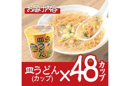 No.519 お好みで食べ方選べる♪カップ皿うどん(41.5g×48個)国産 九州産 鹿児島 日置市 特産品 特産 麺 めん 麺類 インスタント カップ麺 乾麺 ギフト 贈り物 贈答用 簡単調理【ヒガシマル】