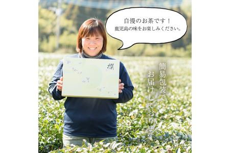 No.616 鹿児島県産の煎茶セット「かえで」かえで(100g×5袋)と粉末緑茶(1袋)【世献 榎園製茶】