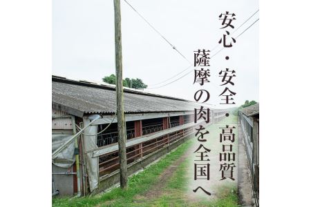 No.687 鹿児島県産！黒豚ロース(計900g 150g×6P)国産 九州産 黒豚 豚肉 ロース トンテキ 冷凍 期間限定 小分け【コワダヤ】
