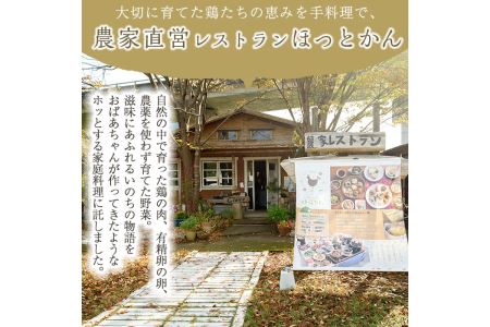 No.758 鹿児島の伝統料理、鶏飯6袋セット(250g×6袋・計1.5kg)【美山たまご王国】