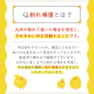 No.781 ＜定期便・全6回(連続)＞鹿児島県産有精卵(40個×6ヶ月連続) 割れ保証付 国産 九州産 鹿児島県産 たまご タマゴ 有精卵 卵 鶏卵 生卵 おかず TKG 卵かけご飯 朝食 定期便 頒布会 数量限定【美山たまご王国】