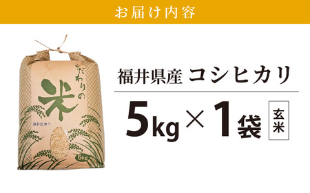 令和7年産 コシヒカリ 5kg 福井県産【玄米】【 人気品種】 [e30-a096]