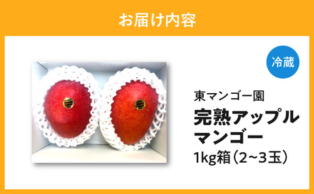 【 2026年 先行予約 】 南の島 で 太陽 の日差しをたっぷり浴びた 沖永良部産 「 完熟 アップルマンゴー 」 1kg W014-007u 果物 マンゴー