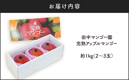 【 2026年 先行予約 】 沖永良部 完熟 アップル マンゴー 2～3玉で1kg W001-009u 果物 マンゴー