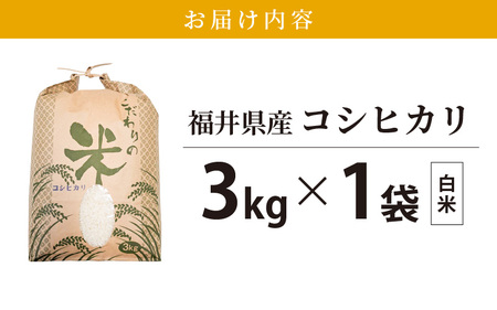 令和7年産 コシヒカリ 3kg 福井県産【白米】【  精米 こしひかり 人気品種】 [e30-a095]