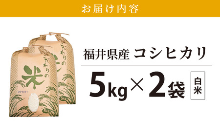  令和7年産 コシヒカリ 10kg 福井県産【白米】【人気品種】 [e30-c014]