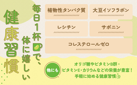 調製 豆乳 1000ml 12本(2ケース) セット  キッコーマン 1万円以下