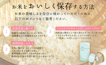 米 精米 令和7年産 夢つくし  5kg 福岡県産「原田さんちのお米」 ブランド米