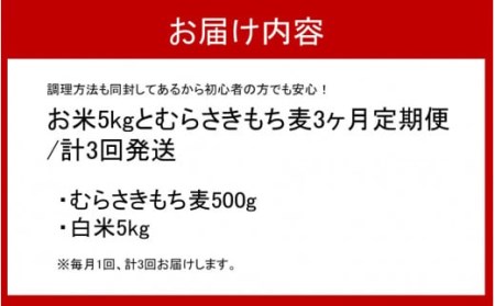 食物繊維を定期的に！お米5kgとむらさきもち麦3ヶ月定期便/計3回発送_2103R