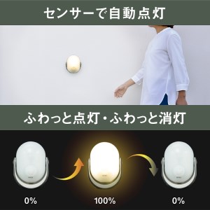 RITEX ASL-097 どこでもセンサーライト300〈防犯 防犯ライト 乾電池式 LED センサーライト 非常灯 防犯グッズ 屋外 キャンプ 株式会社ムサシ 送料無料 ふるさと納税 返礼品 おすすめ 日用品 プレゼント〉【2401O10805】