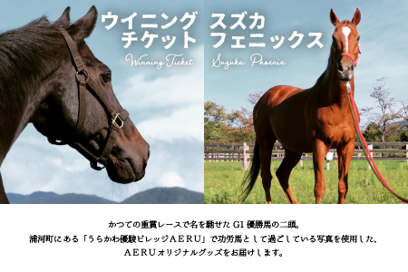優駿ビレッジAERU G1馬オリジナルグッズ(計13個)[07-1168]