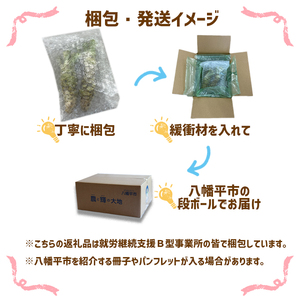 岩手県産 生わさび (Lサイズ) 1本70g以上のもの確約 2本セット 【安比清流山葵園】 ／ 山葵 ワサビ わさび 薬味 国産 八幡平市産 産地直送 新鮮 調味料 辛味 肉の薬味 魚の薬味 そばの薬味 お蕎麦 和食 お寿司 おすすめ オススメ