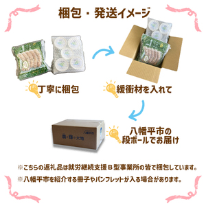 岩手県産わさび使用 安比清流わさび加工品セット（わさびアイス・わさびソーセージ） 【安比清流山葵園】 ／ 山葵 わさび ワサビ アイス アイスクリーム ソーセージ ウインナー おすすめ オススメ カップアイス ポークソーセージ おつまみ おかず