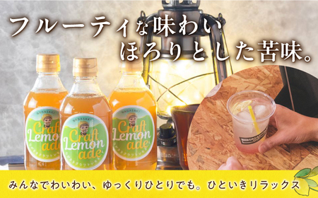 【数量限定】早摘みグリーンレモネード 3本入り 長与町/ながさきミュージアム [EBU005]  ジュース じゅーす 国産ジュース レモンジュース フルーツジュース れもねーど レモネードベース レモネードシロップ シロップ レモン れもん 柑橘 自家製 原液