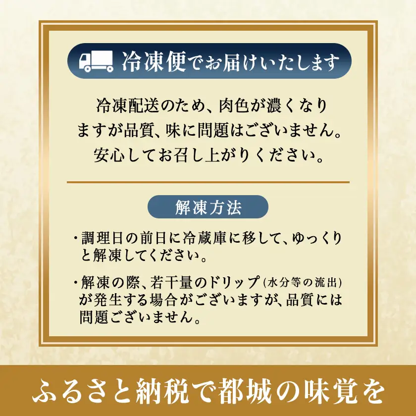 【国産黒毛和牛】ヒレステーキセット 100g×6枚_AG-E902_(都城市) 国産黒毛和牛 ヒレステーキ 100g×6枚 ヒレ ステーキ 冷凍配送 