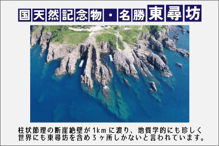 「ふくいジオラマ百景　ダイナミック東尋坊」 [A-17801]