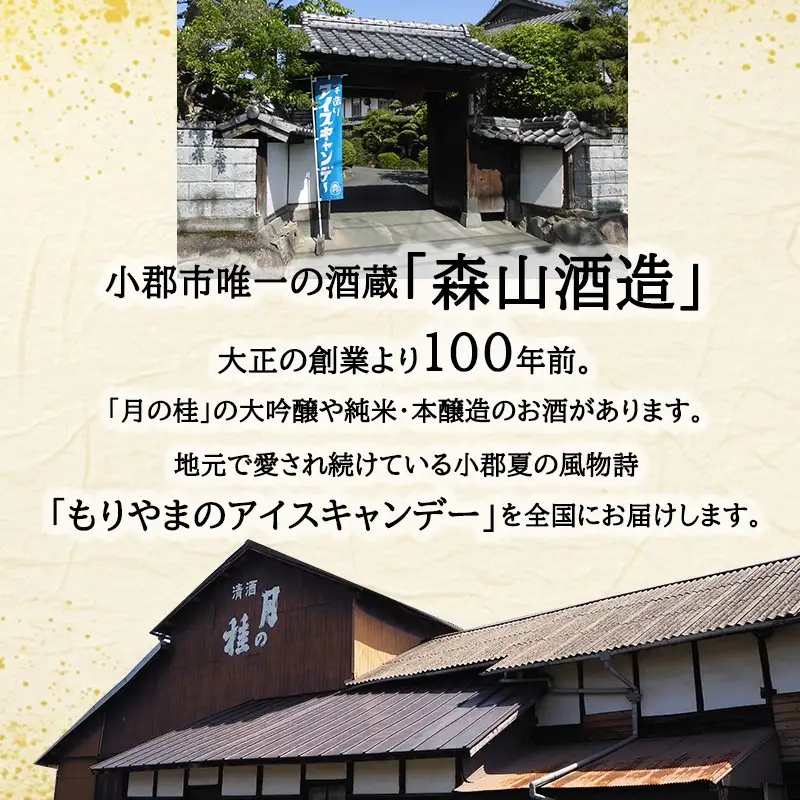 アイス もりやまのアイスキャンディー 40本入 セット 無添加 小郡 夏の風物詩 アイスキャンディー 4種 ミルク あずき チョコ 抹茶 デザート お楽しみ 