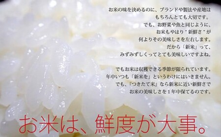 R7年度産 米 10kg 配送当日に精米します 小郡産 特A 特別栽培米 ひのひかり　白米 コメ 福岡県 お米 精米 ご飯 ごはん ヒノヒカリ国産 国産米 グルメ 食品