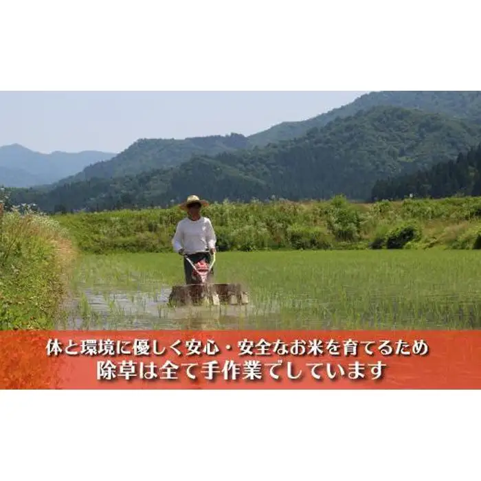 【令和７年産】南魚沼産コシヒカリ　富三郎　農薬8割減の特別栽培米　肥沃な大地と八海山の雪解け水が育んだ厳選米　無洗米５ｋｇ【銘柄米 ブランド米 無洗米 こしひかり コシヒカリ 魚沼産 新潟米】