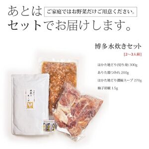 博多水炊き（はかた地どり切り身・つみれ）セット2～3人前 