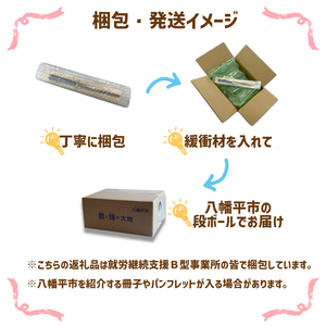 漆塗り 半塗箸 1膳 【浅野奈生】 ／ 漆塗 箸 おはし お箸 はし 上品 シンプル カトラリー 木製 一膳 漆 漆製品 普段使い 日常使い お洒落 おしゃれ オシャレ お土産 ギフト プレゼント 贈り物 贈物 誕生日  大人  工芸品 伝統工芸