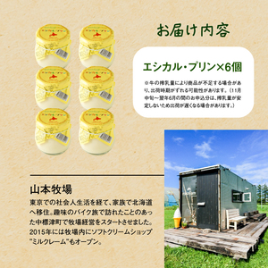 【★高評価レビュー獲得！】養老牛放牧牛乳使用エシカル・プリン6個 プリン オーガニック オーガニック牛乳 牛乳 おいしい牛乳 乳製品 乳飲料 有機JAS認証 低温殺菌 高栄養 スイーツ ふるさと納税 北海道 中標津町 中標津【1301302】