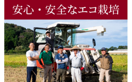 【 先行予約 /10月以降配送】【令和7年産】福井県産コシヒカリ「千石」 10kg 小浜市 / 千石の郷  [BFCA001]