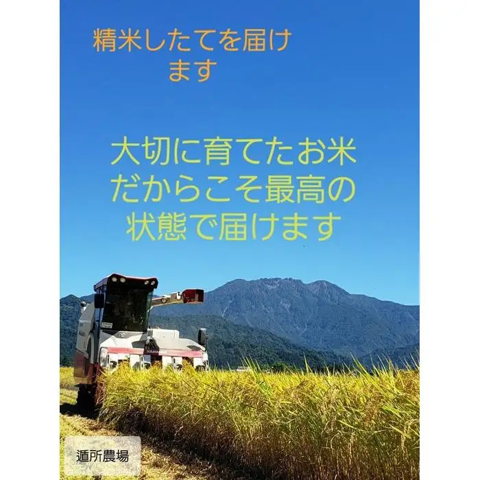 【令和8年産新米予約】【お米定期便/全３回】南魚沼産コシヒカリ　無洗米１０ｋｇ【定期便 銘柄米 ブランド米 無洗米 こしひかり コシヒカリ 魚沼産 新潟米 お米 米 こめ】【2026年10月中旬から1ヶ月以内に順次発送予定】