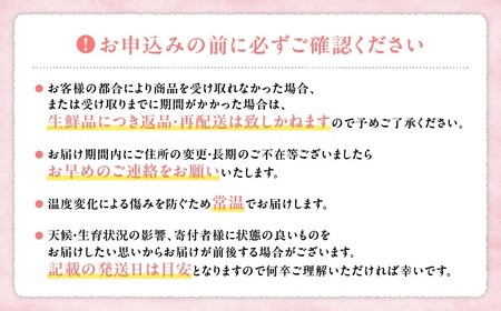 朝どれ！直送！ 桃 2.0kg相当  山梨県産桃  AD-122