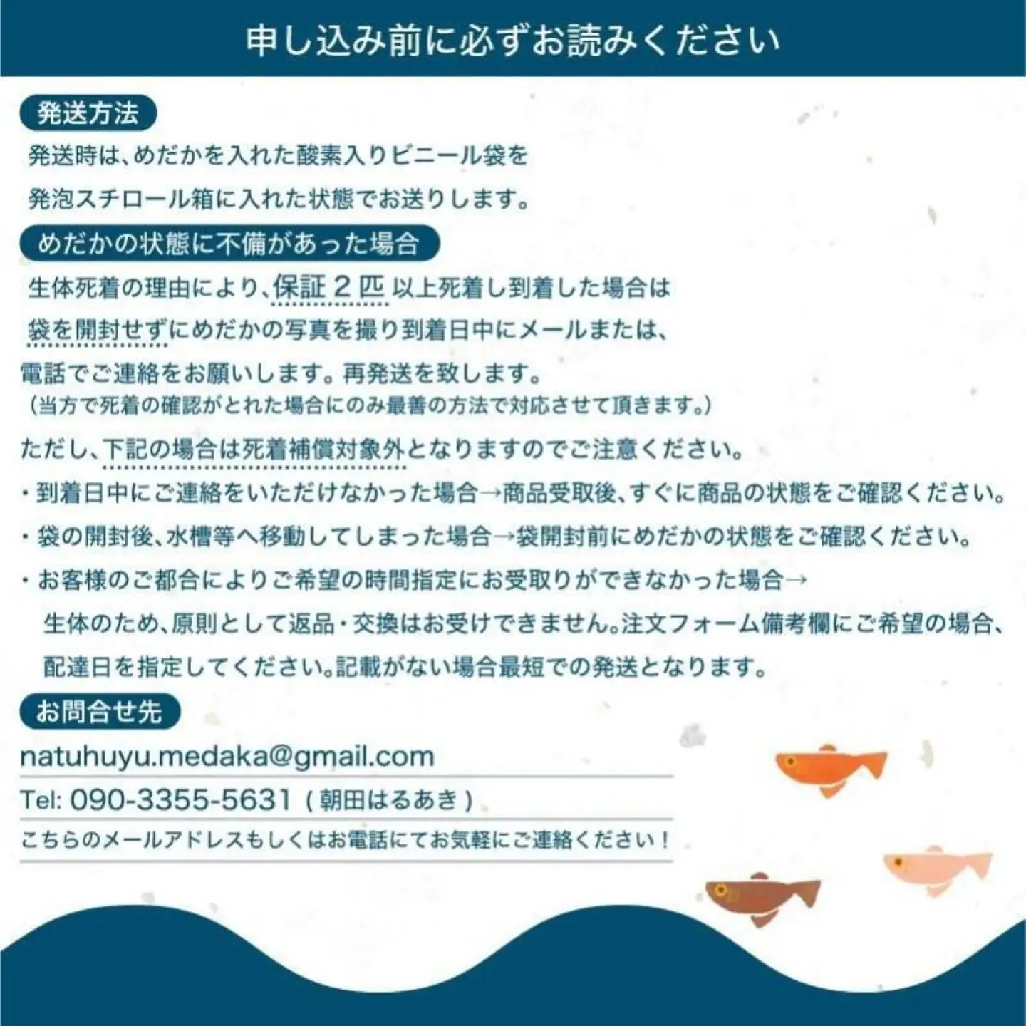 (夏冬めだか屋はるあき)”選りすぐり”めだか20匹＋(死着保証2匹）