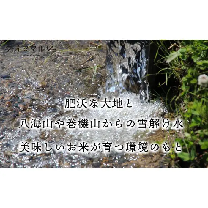 【令和７年産】おかずのいらない 魚沼産コシヒカリ　無洗米１０ｋｇ 令和７年産【銘柄米 ブランド米 無洗米 こしひかり コシヒカリ 魚沼産 新潟米 産地直送 お米 米 こめ コメ ご飯 御飯 ごはん】