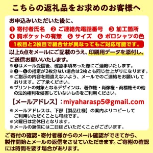 isa408 好きなデザインを印刷！カラーや印刷箇所も選べるオリジナルポロシャツ(2枚1組・加工場所2箇所)男女兼用 メンズ レディース イベント お揃い 衣類 シャツ オリジナル プリント 印刷【宮原スポーツ】