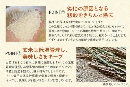 令和7年度産 常陸牛農家が育てるコシヒカリ 20kg 米 お米 白米 こめ 精米 取り寄せ 特産 ごはん ご飯 コメ お取り寄せ ギフト 贈り物 お弁当 弁当 おにぎり ふっくら ツヤツヤ 甘い 農家直送 産地直送 国産 茨城県産 A31-004