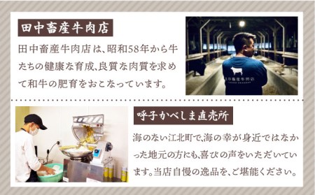 佐賀牛ハンバーグ・いかコロッケセット【田中畜産牛肉店・呼子かべしま直売所】[HZY003]