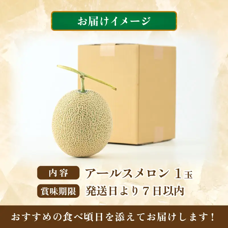 【先行予約】秋 アールスメロン 1玉（約1.6kg以上）青肉品種 高級メロン！ ／ マスクメロン 大玉 果物 フルーツ ギフト 農家直送 ※2026年9月中旬以降発送  [aw065-a008]