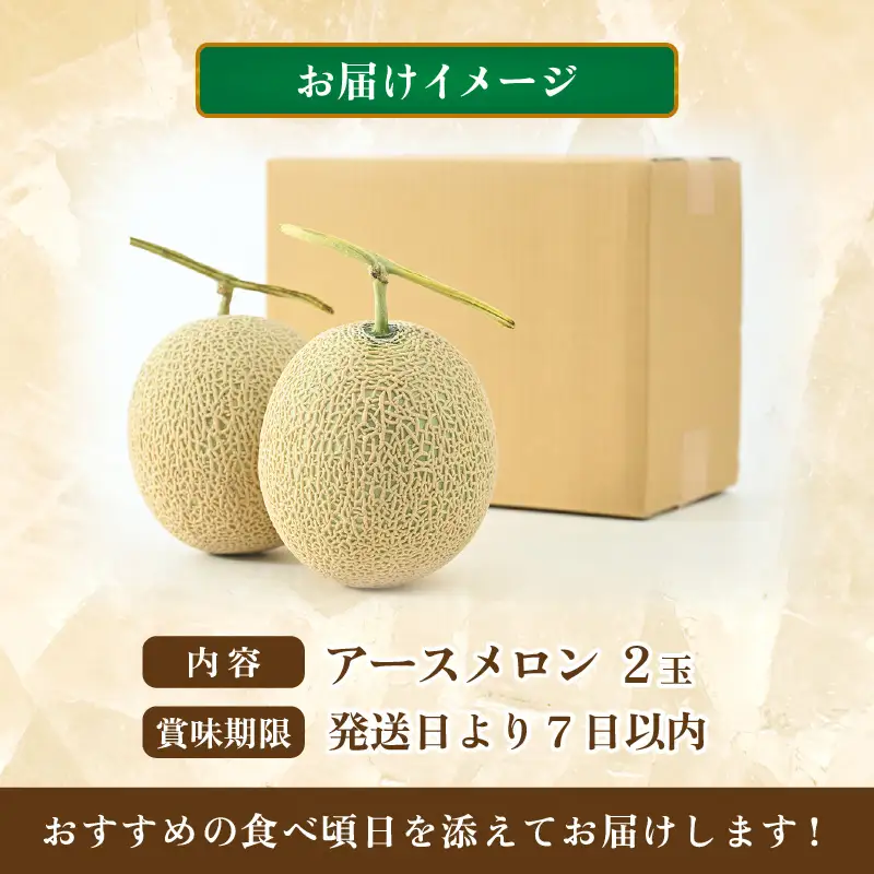 【先行予約】秋 アールスメロン 2玉（約1.6kg以上×2玉）青肉品種 高級メロン！ ／ マスクメロン 大玉 果物 フルーツ ギフト 農家直送 ※2026年9月中旬以降発送  [aw065-a009]