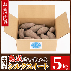 a845-A 鹿児島県産さつまいもシルクスイート土付き5kg(生芋)【コウエイ環境】