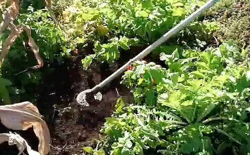 金属加工の匠がこだわり作った 雑草「極み刈」