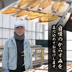 からすみパスタソース(合計600g・100g×6P)クリーム・豆乳・和風の3種！別添からすみパウダー(計36g・6g×6p)付き カラスミ 魚卵 珍味 冷凍 ボラ イタリアン【B-13】【SA・Te黒潮】