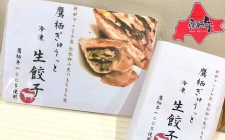 鷹栖牛 バラエティ セット しゃぶしゃぶ すき焼き モモ肉 300g バラ肉 300g 冷凍生餃子 10個 冷凍煮込みハンバーグ 230g×2個 冷凍カレーパン 2個 北海道 鷹栖町 新田ファーム 牛肉 すき焼き