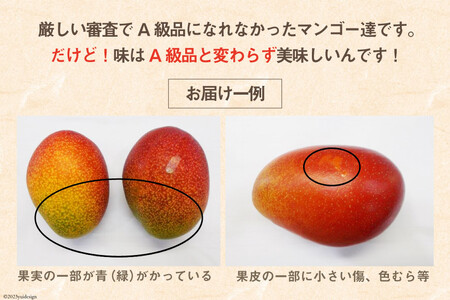 【2026年夏発送】「生産者応援・数量限定」 訳あり 宮崎 完熟 マンゴー 家庭用 3L 2玉 [宮崎県農業協同組合日向地区本部（販売課） 宮崎県 日向市 452061562]