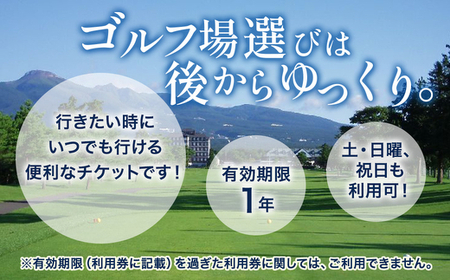 那須でゴルフを満喫！ゴルフ場利用券9,000円分｜ゴルフ ゴルフ場 利用券 チケット プレーチケット 体験 旅行 観光 プレー券 那須 栃木県那須町 那須町〔D-42〕 ※着日指定不可 ※離島への配送不可