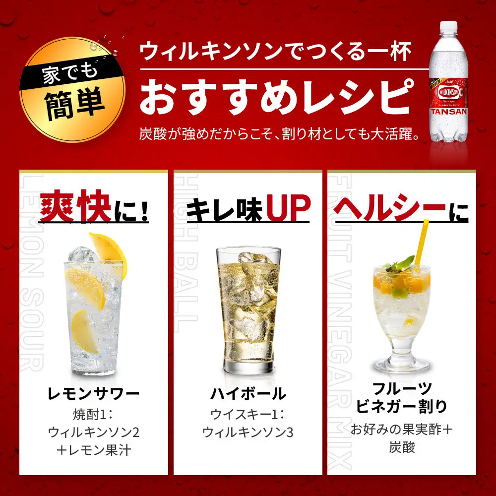 アサヒ飲料 ウィルキンソン タンサン（500mlペットボトル×24本×2箱）