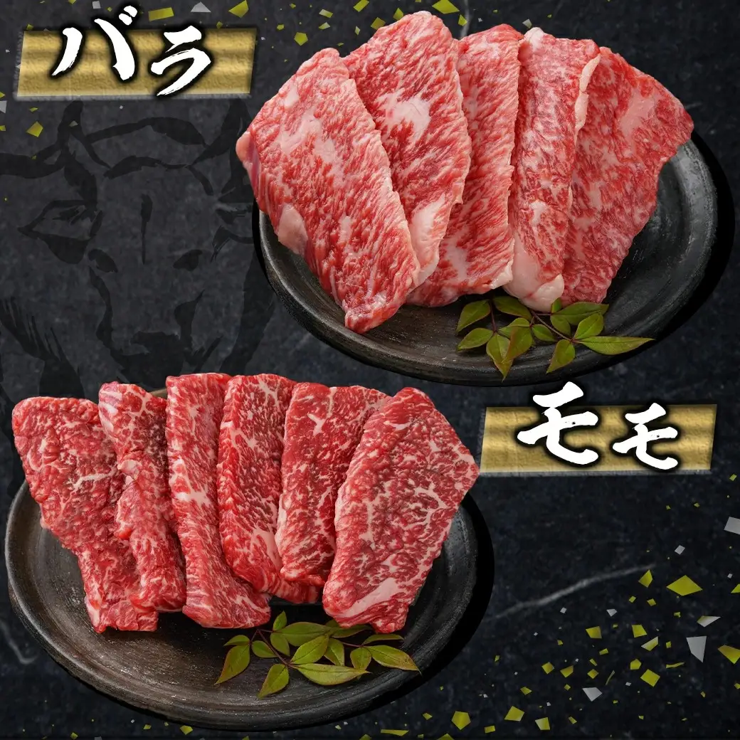 ≪希少部位ヒレ入り！≫ 宮崎牛【特選】6種盛 焼肉堪能セット 600g〔24-6502〕_(都城市) 宮崎県産宮崎牛 焼肉6種盛 各100g ロース 肩ロース ヒレ ウデ バラ モモ 秋特集