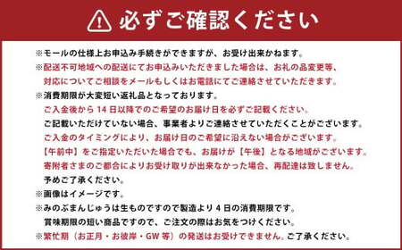 みのぶまんじゅう12個入り3箱・身延南天のど飴1袋 まんじゅう 36個 饅頭 お菓子 菓子 和菓子 のど飴 飴 アメ 山梨県 身延町