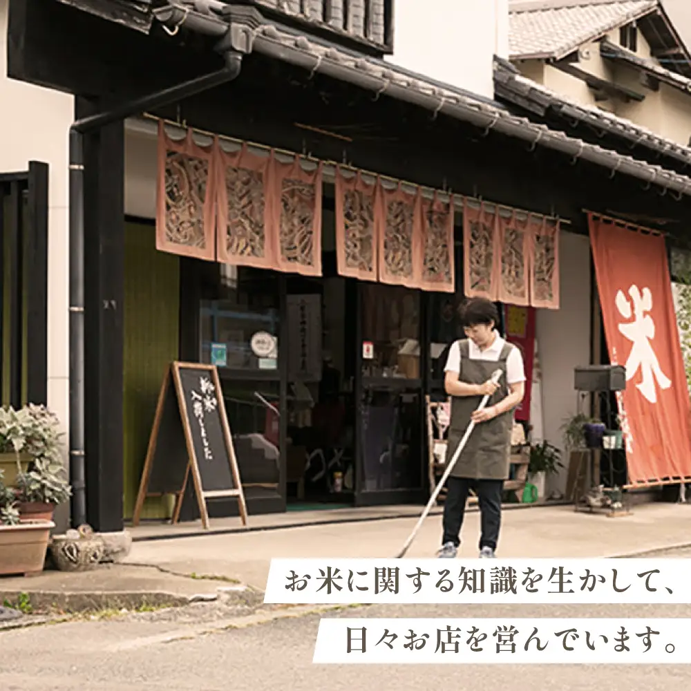 伊都の米 5kg  糸島市 / 米屋納富 [ARL001] 白米 お米