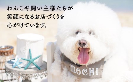 【糸島特産品使用】 無添加 そのまま 鯛さん 3袋  糸島市 / 株式会社コバヤシ【coco.kina】 犬 おやつ ドッグフード [ASL002]